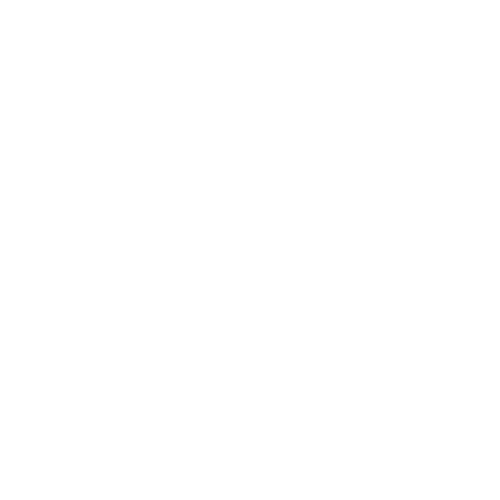 41 Removable Prosthesis - MMDC Dental Clinic Dubai